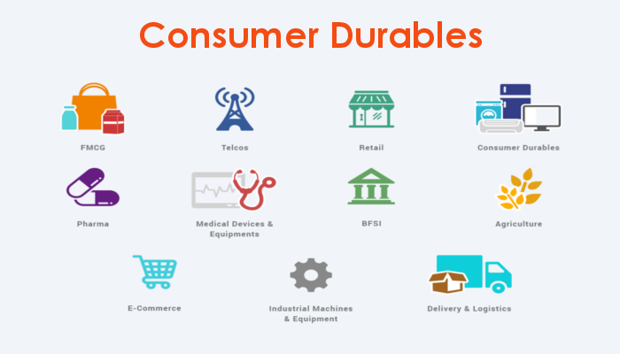 02. Consumer Durables